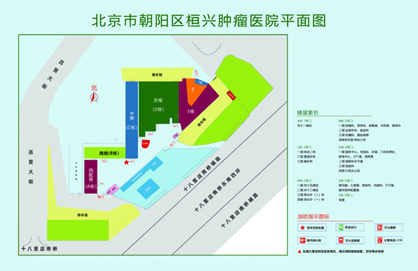 女生用鸡鸡插进男生的屁眼北京市朝阳区桓兴肿瘤医院平面图